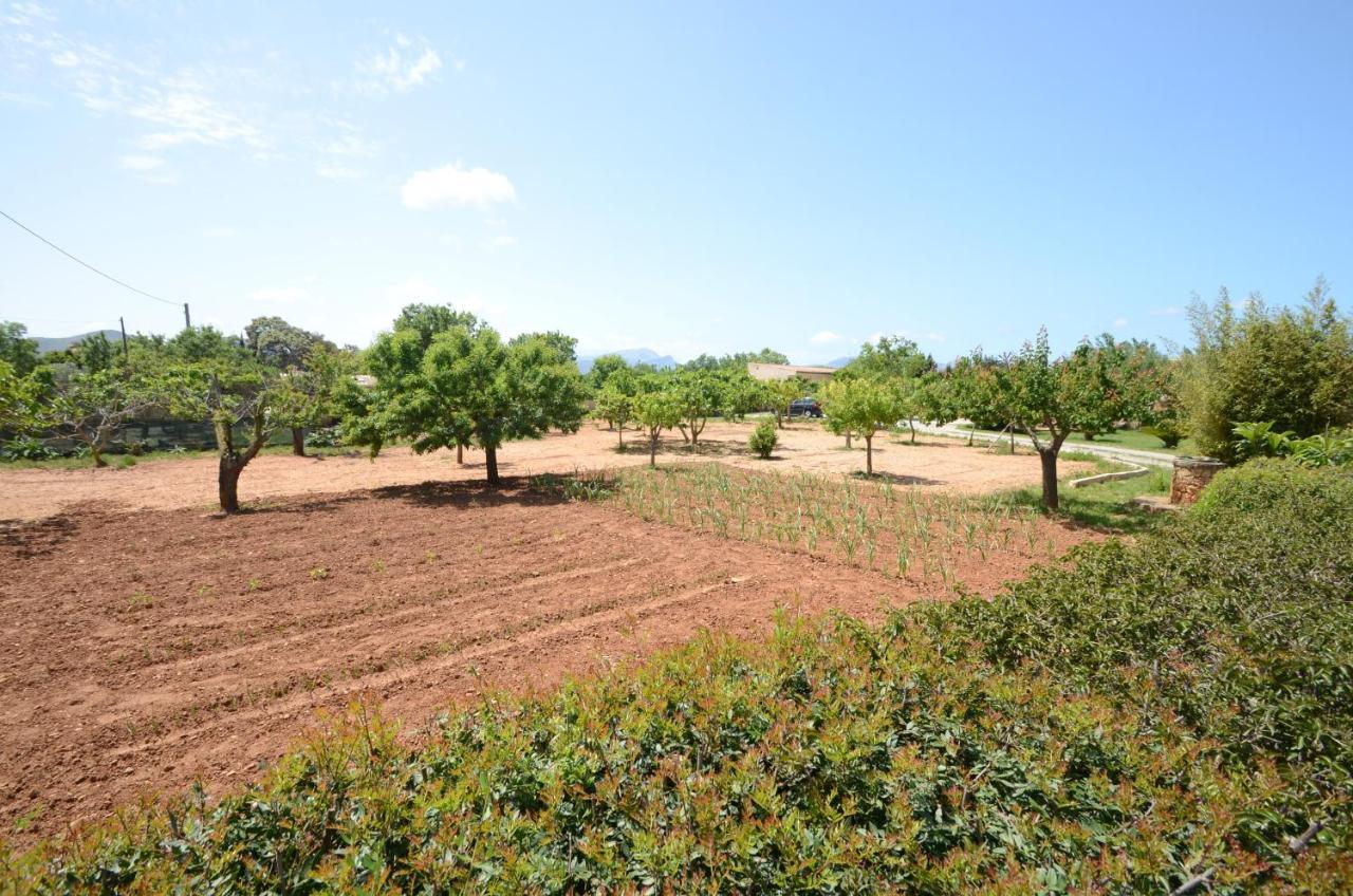 Pau, Pool And Garden Close To The